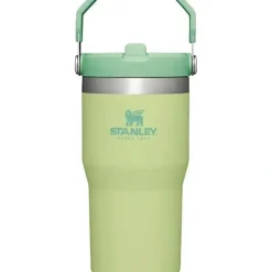 Stanley - 20Oz IceFlow Stainless Steel Tumbler with Straw, Citron - cutbabycare.com | baby boutique & care hub* Store