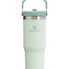 Stanley - 30Oz IceFlow Stainless Steel Tumbler with Straw, Mist - cutbabycare.com | baby boutique & care hub* Clearance