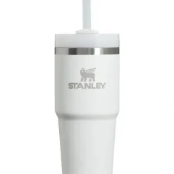 Stanley - 14Oz Quencher H2.0 FlowState Stainless Steel Vacuum Insulated Tumbler, Frost - cutbabycare.com | baby boutique & care hub* Cheap