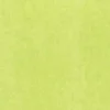 The Gift Wrap Company Lime Tissue, 12-Pack - cutbabycare.com | baby boutique & care hub* Shop
